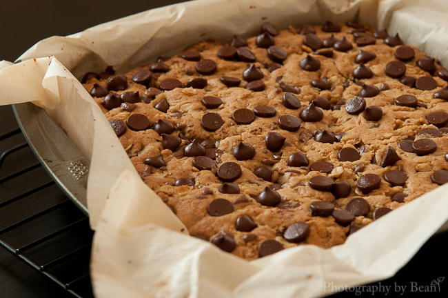 Fantastic Sharing Chocolate Peanut Butter Oatmeal Cookie Bars-1